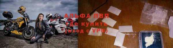сатива Богородск