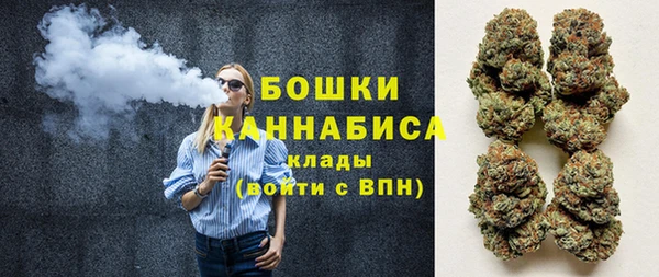 сатива Богородск