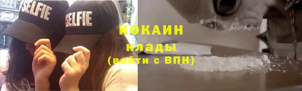 сатива Богородск