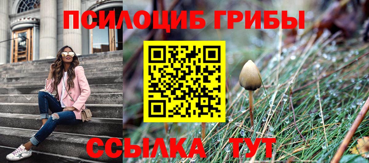 Надым  Псилоцибиновые грибы Cubensis  купить   Вход с VPN 